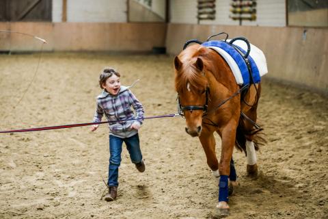 Kinder mit Pferden stark machen